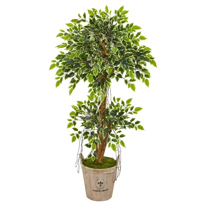 

Variegated Ficus Artificial Tree in Farmhouse Planter