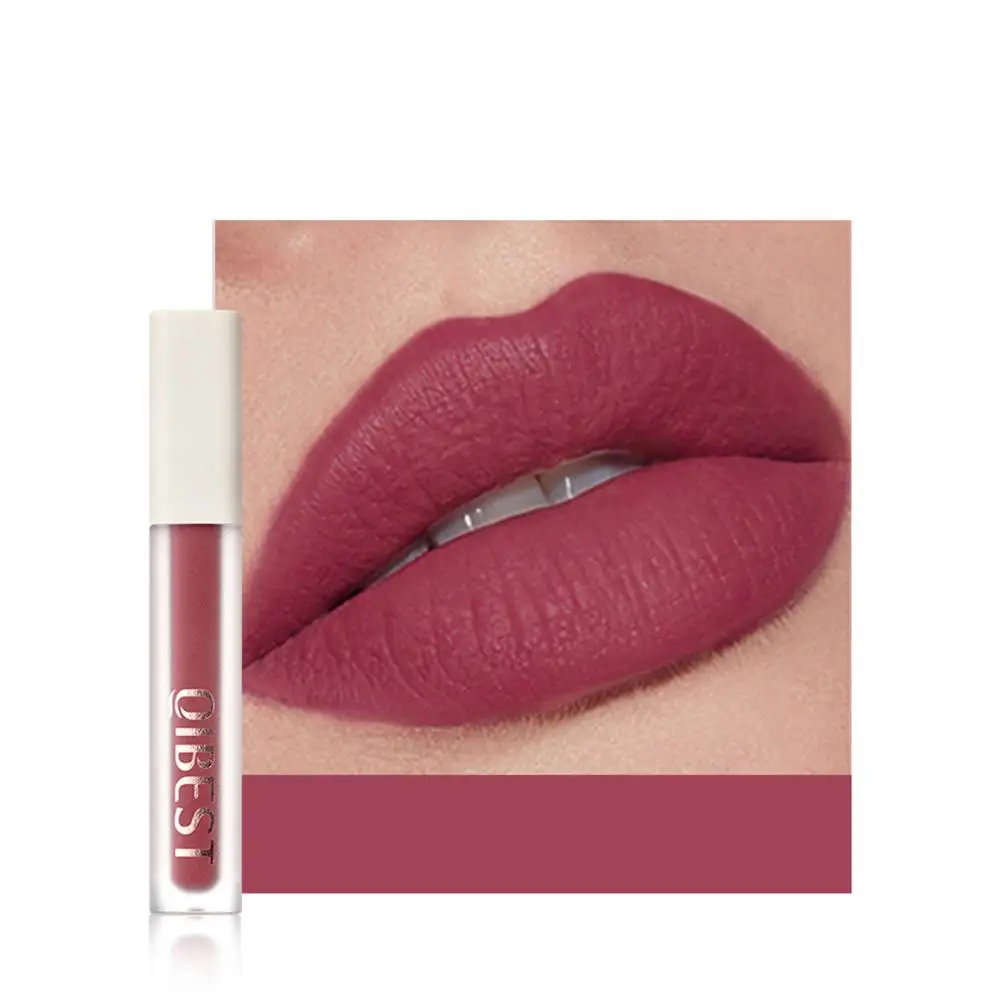 

Women Long-lasting Waterproof Liquid Velvet Matte Lip Gloss for Party