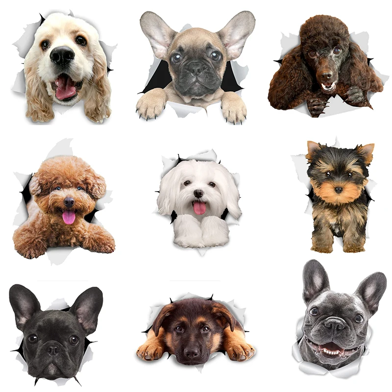 

Three Ratels 1057 Lovely 3D animal stickers Lion dog Jiwa Teddy dog PVC household decoration wall stickers toilet decals