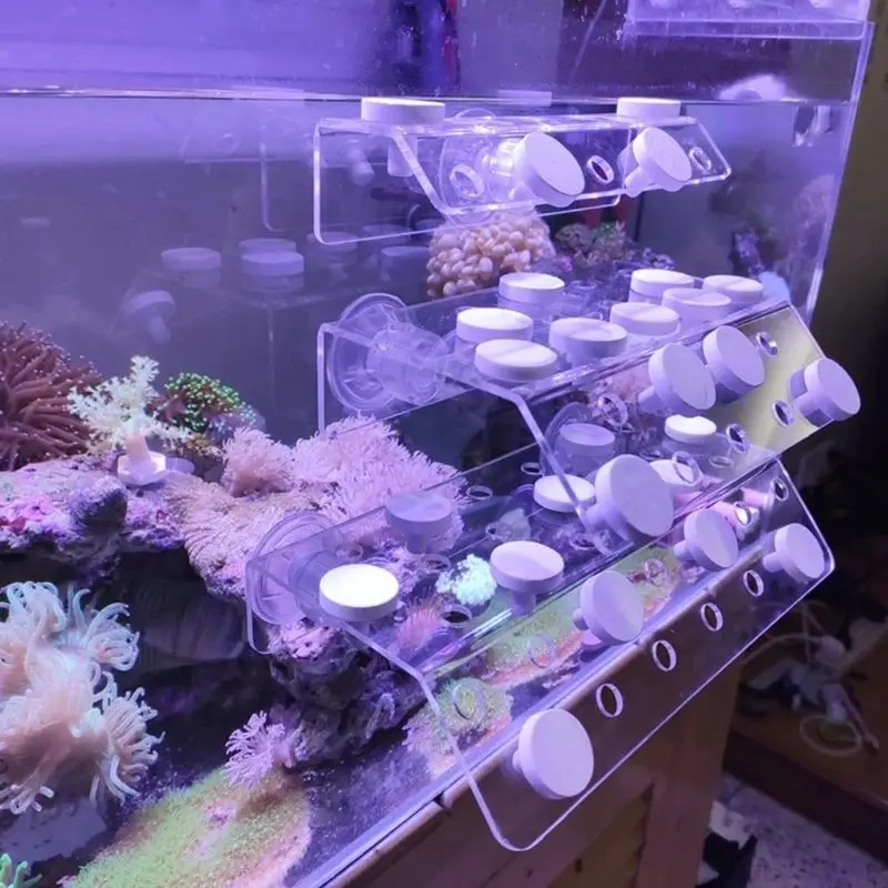 10 шт. керамические открытия для аквариума