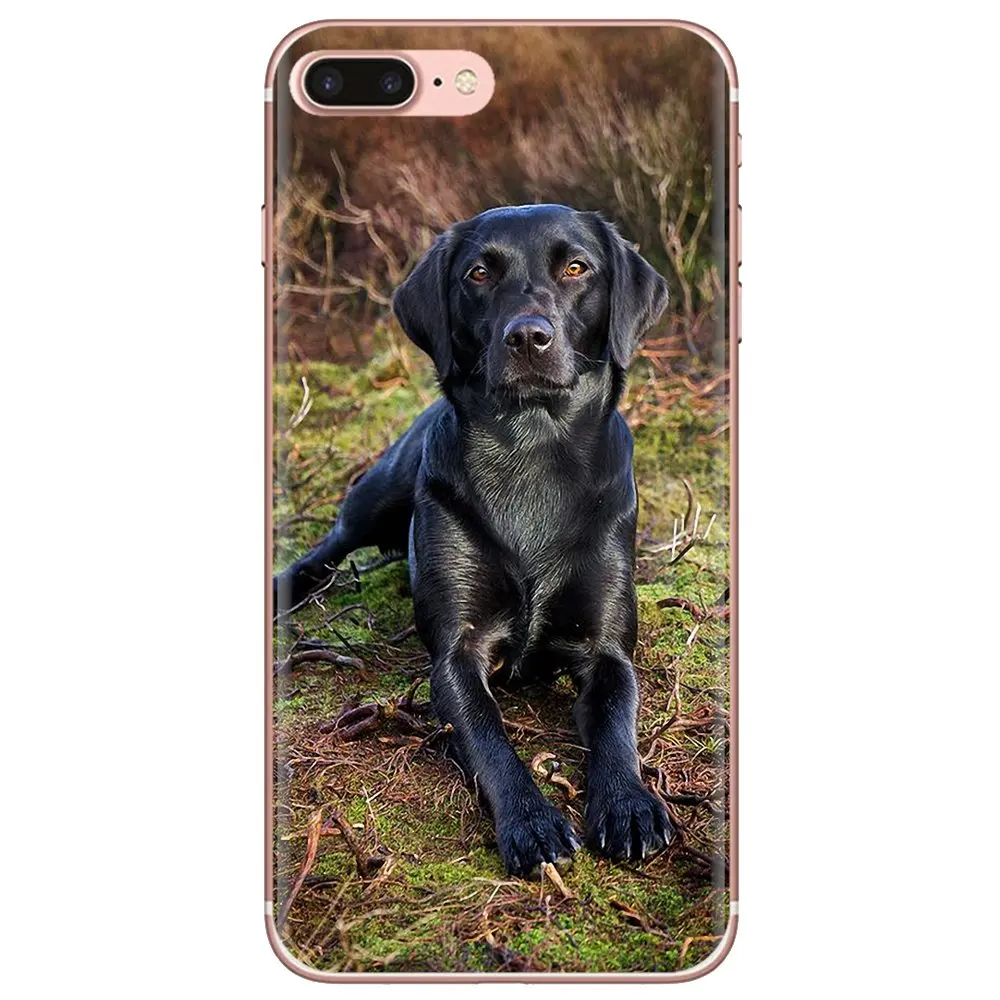 Hello Black Lab щенок Лабрадора для iPod Touch iPhone 10 11 12 Pro 4S SE 5C 6 6S 7 8 X XR XS Plus Max 2020 корпус |