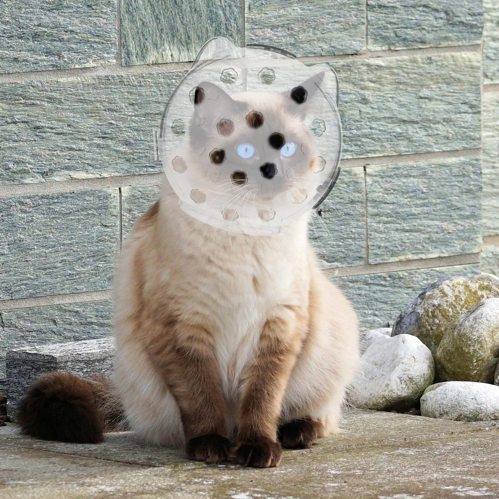 Кошачий капюшон декоративный для ухода за крошечными кошками большой котенок