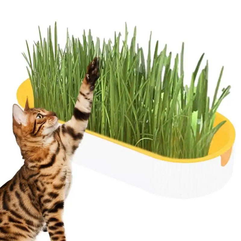 

Greenhouse Grow Box Cat Grass Growing Kit Hydroponic Plant Cat Grass Germination Digestion Dish Pet Cat Sprout Dish Growing Pot