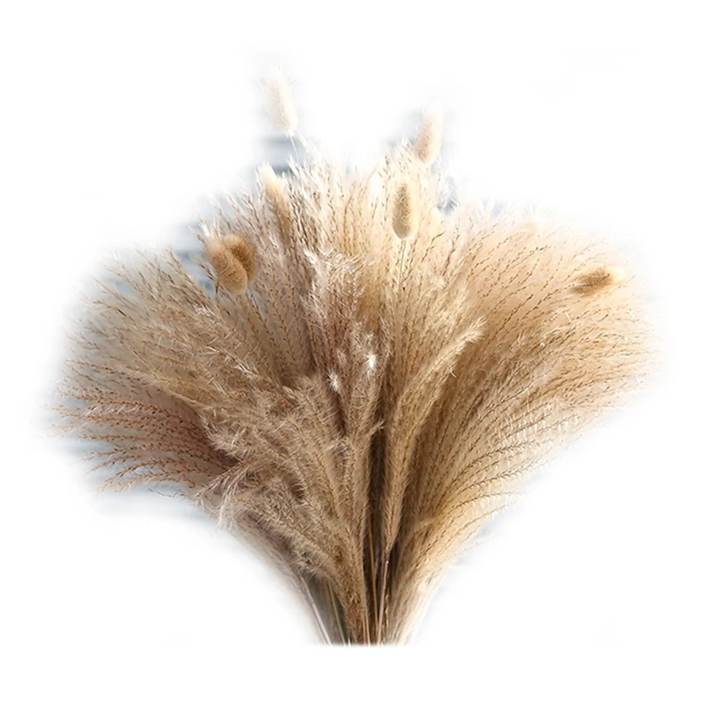 

60Pcs Pampas Grass - Natural Hay Bouquets For Bohemian Home Decor, Floral Arrangements, Weddings