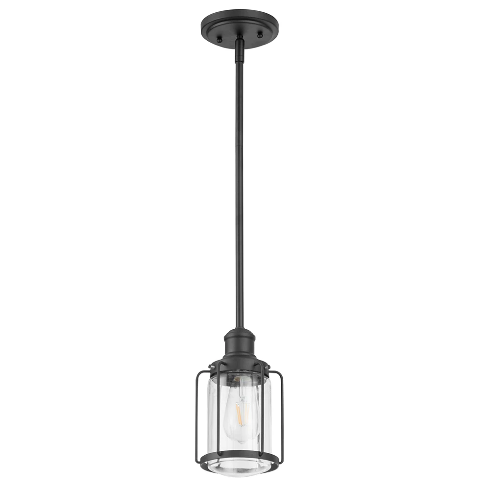 Matte Black LED Pendant Light with Clear Glass Shade