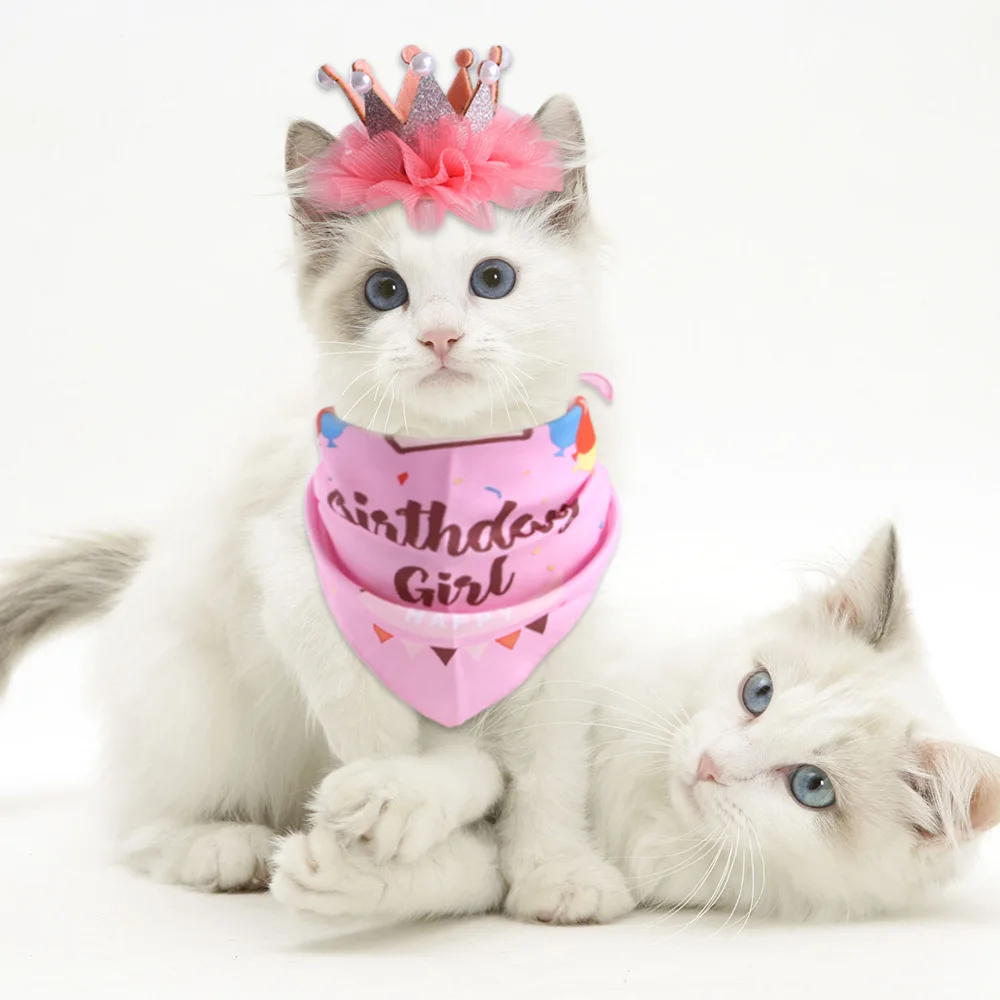 

Cat Birthday Dress Up Set,Pearl Crown,Hat and Triangle Scarf Combo, Birthday Dress Up Pet Supplies,Cat Decorations,Cat Headgear