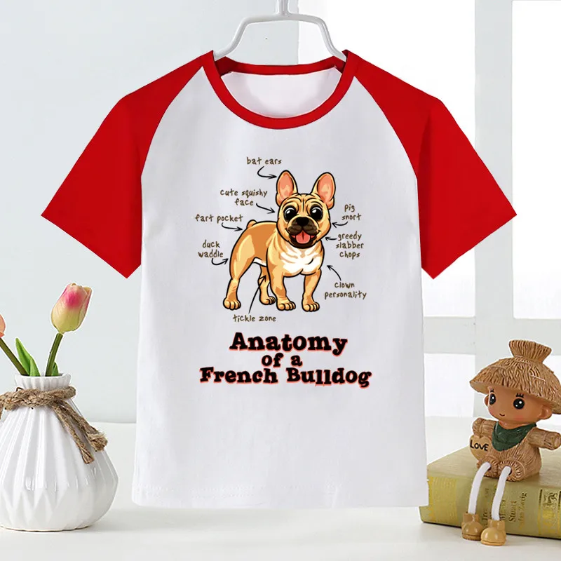 Frenchie Anatomy of French Bulldog Kawaii Animal Boys T-Shirt Summer Children Clothes for Boy Baby Girls Tops Kids Cartoon Tee