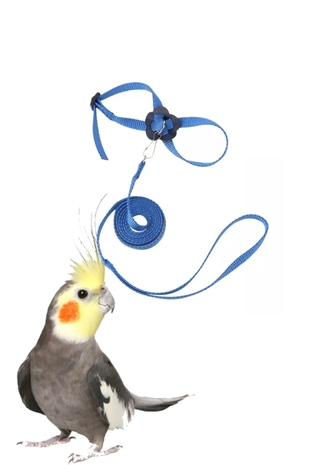 

Птицы Животные игрушки Птица поводок budgerigar поводок для попугая хомяк рептилии поводок синий
