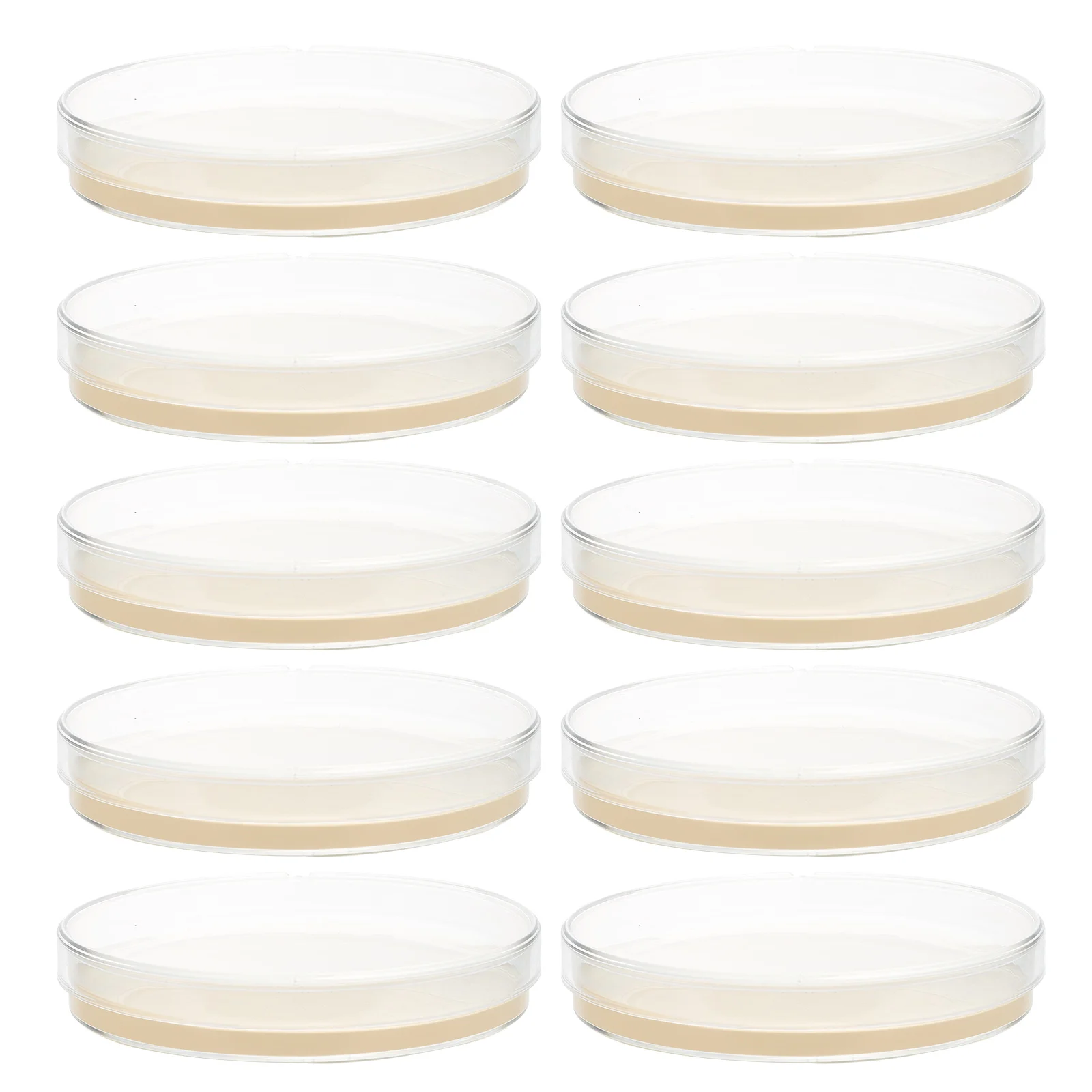

10pcs Petri Dishes with Agar Laboratory Agar Plates STEM Science Fair Project Kit Glass