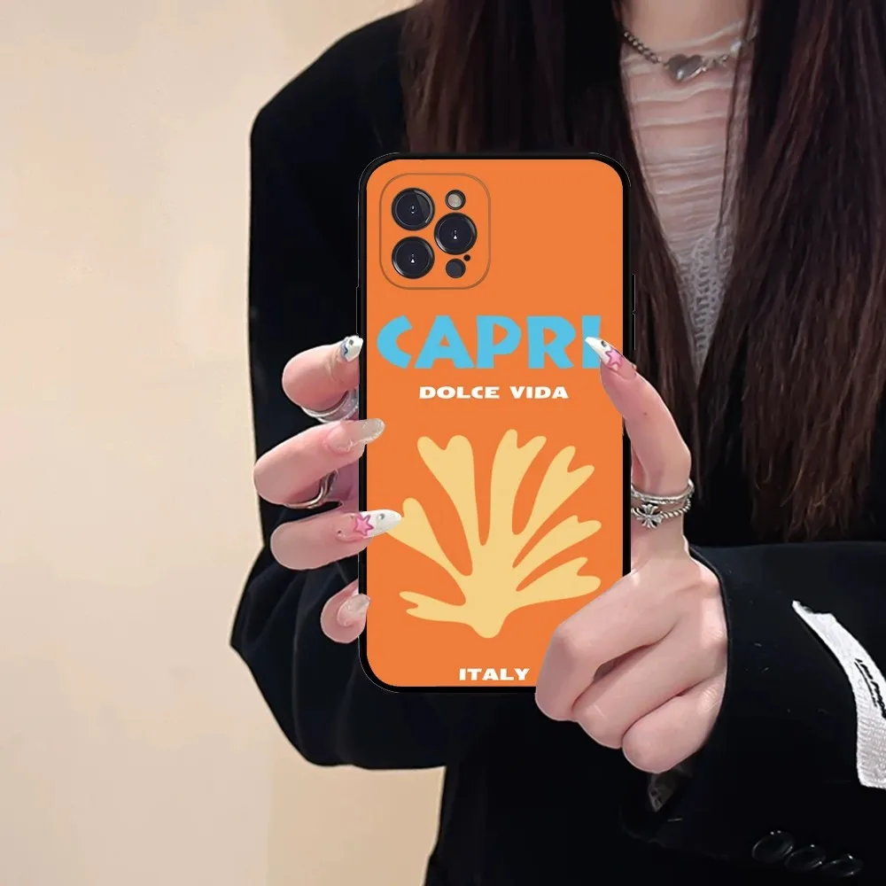 Чехол для телефона Bali Ibiza Capri Bondi Palm мягкий силиконовый чехол Iphone 16 15 14 13 12 11 Pro Mini XS