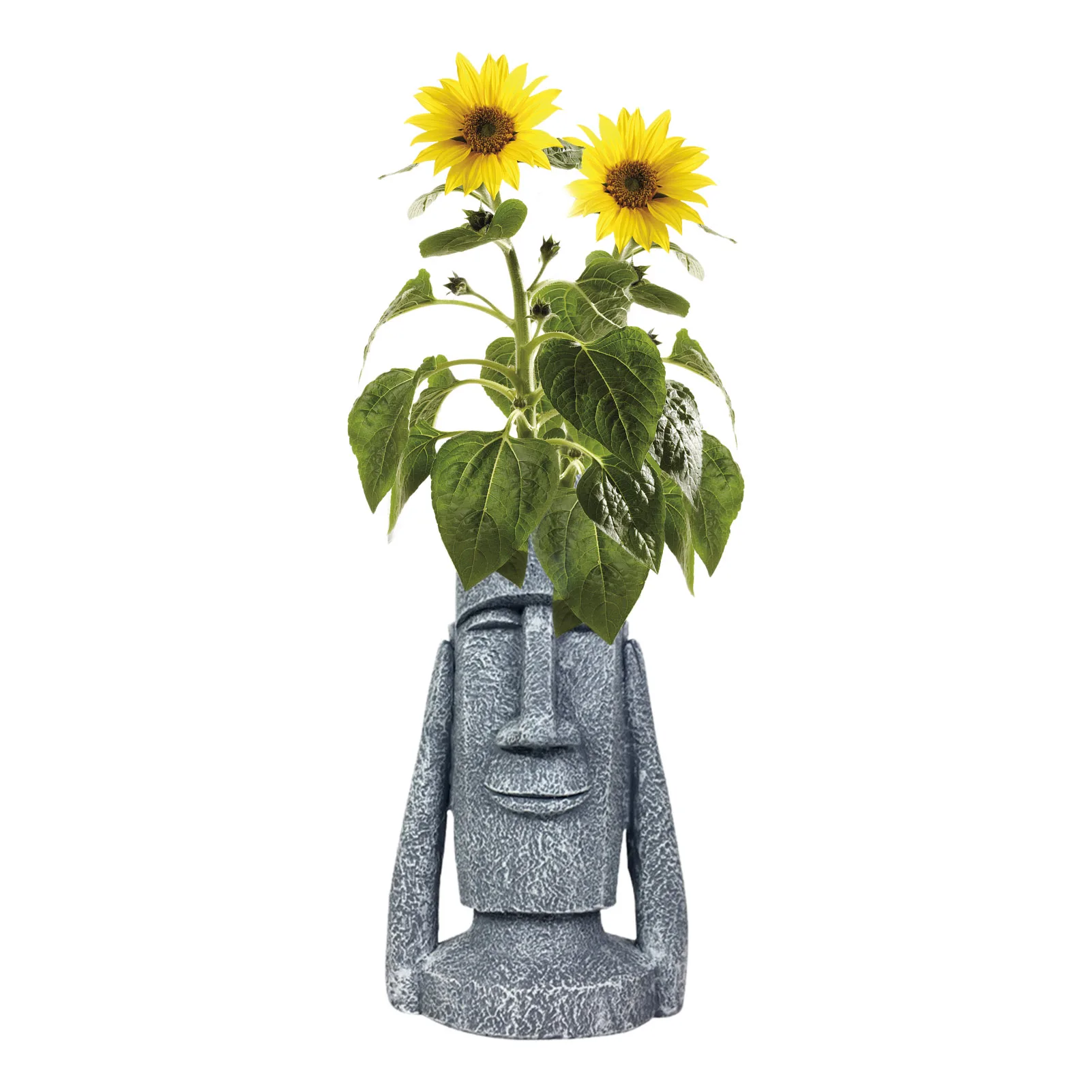 

Cute Resin Cactus Planter Human Face Shaped Flower Pot Indoor Outdoor Decorative Garden Figurines Head Succulent Planter Plant