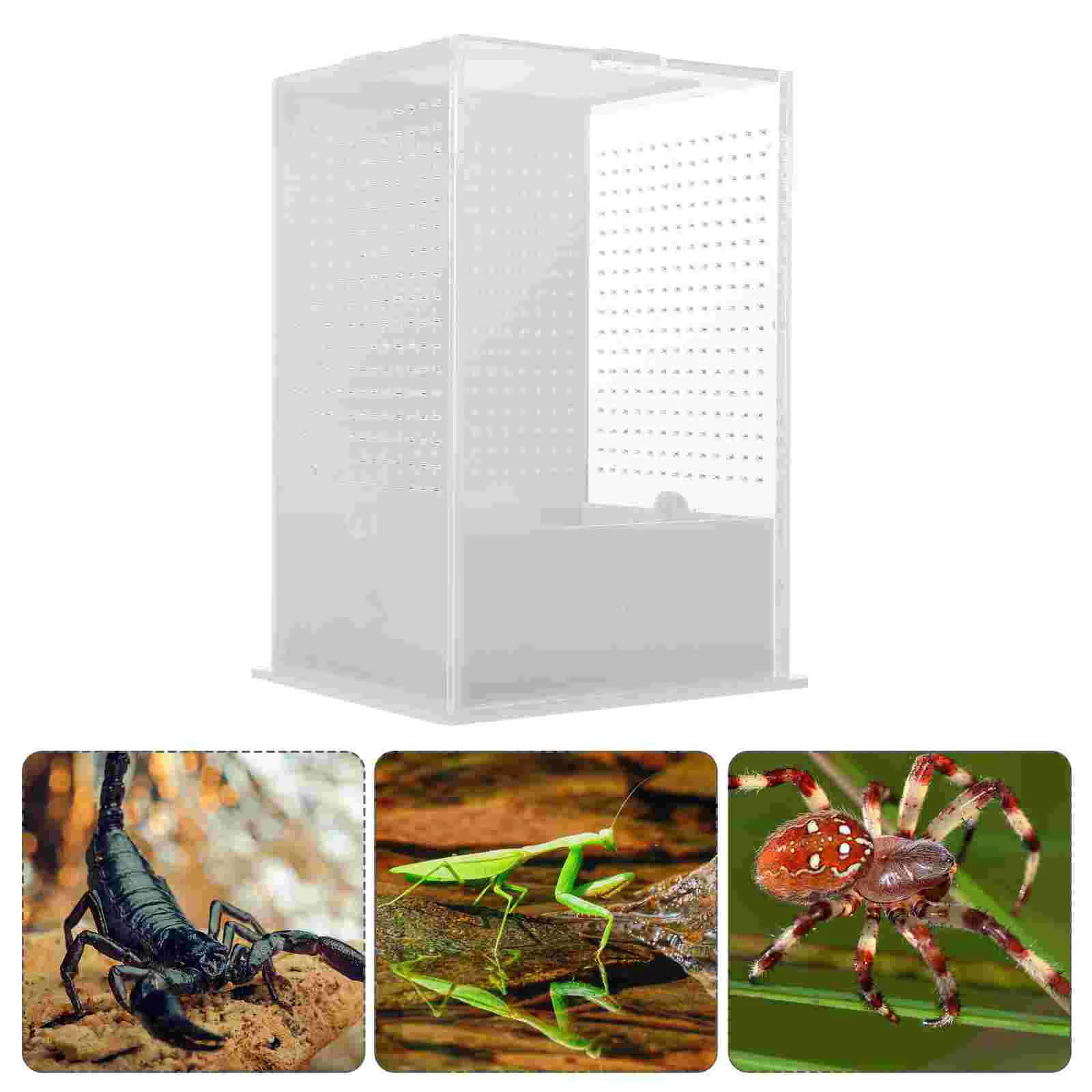 

Box Container Reptile Insect Breeding Feeding Observation Tank Enclosure Worm Tarantula Landscape Dish Snake Acrylic Case