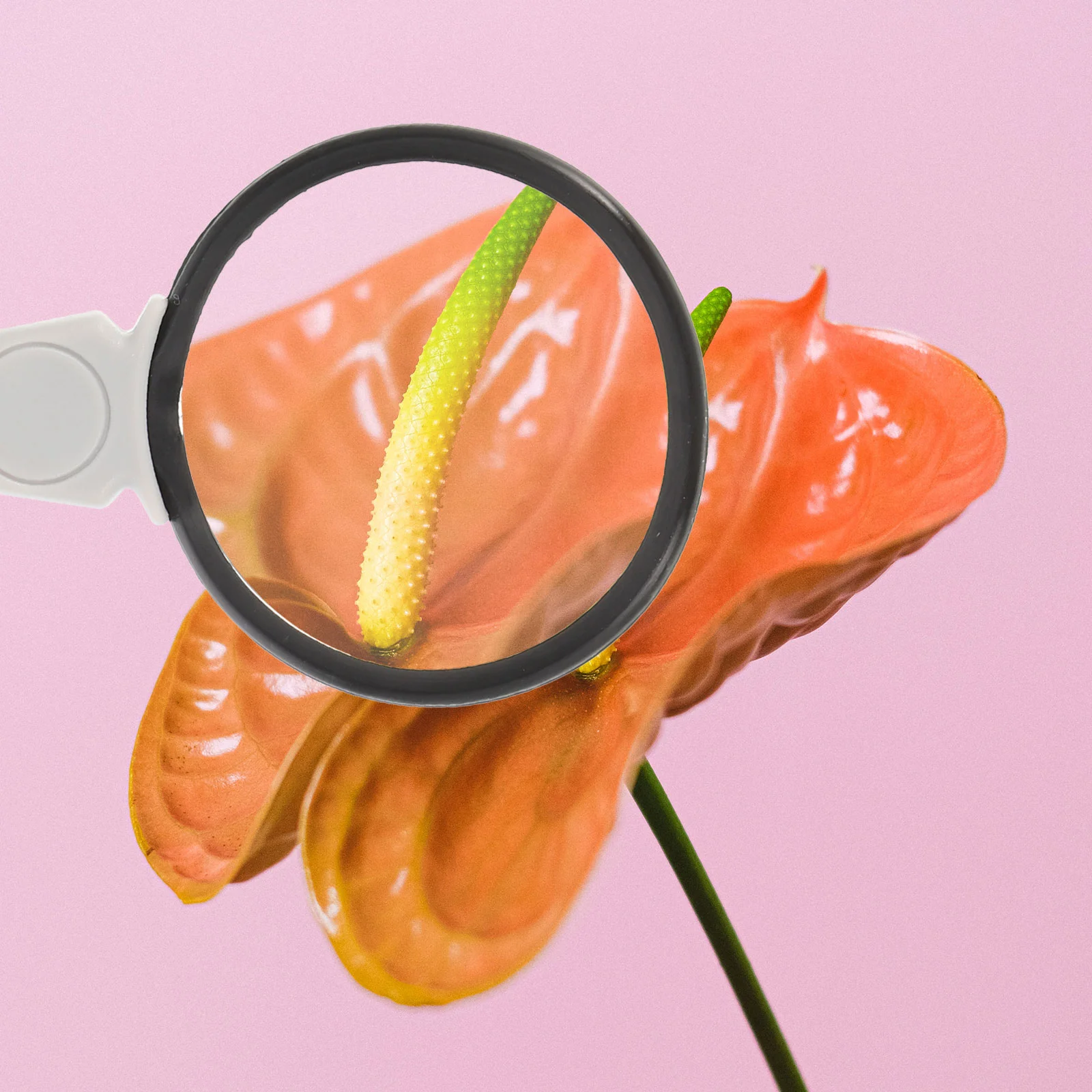 Монокль для увеличения зрения увеличительное стекло портативная удобная