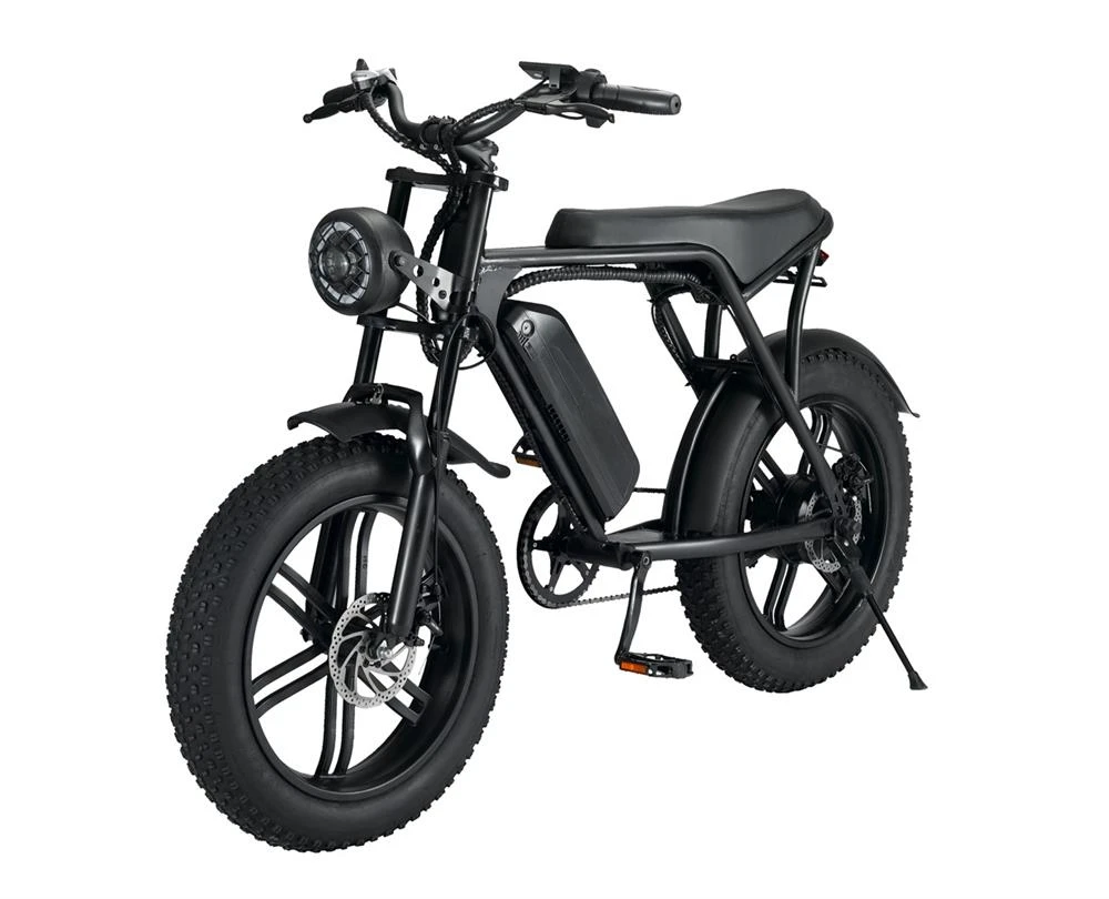 

Electric Bicycle Electric Cycle Mountain Electric Bike 750 W 1000W