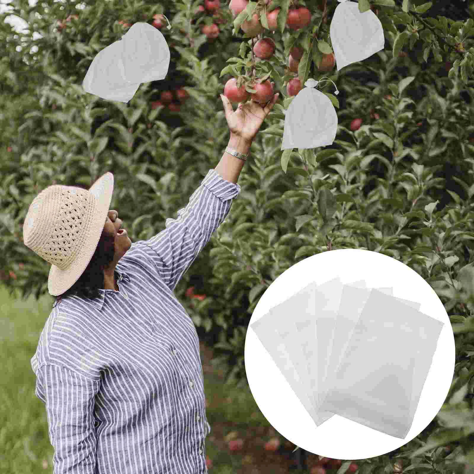 

Bags Fruit Protection Netting Trees For Grape Mesh Mango Tree Fly Exclusion Organza Peach Grapes