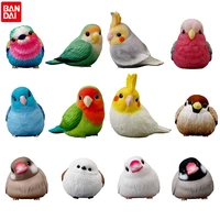 genuine bandai cute friend on palm cute bird kawaii parrot anime figures action figure collection model toy gift for children