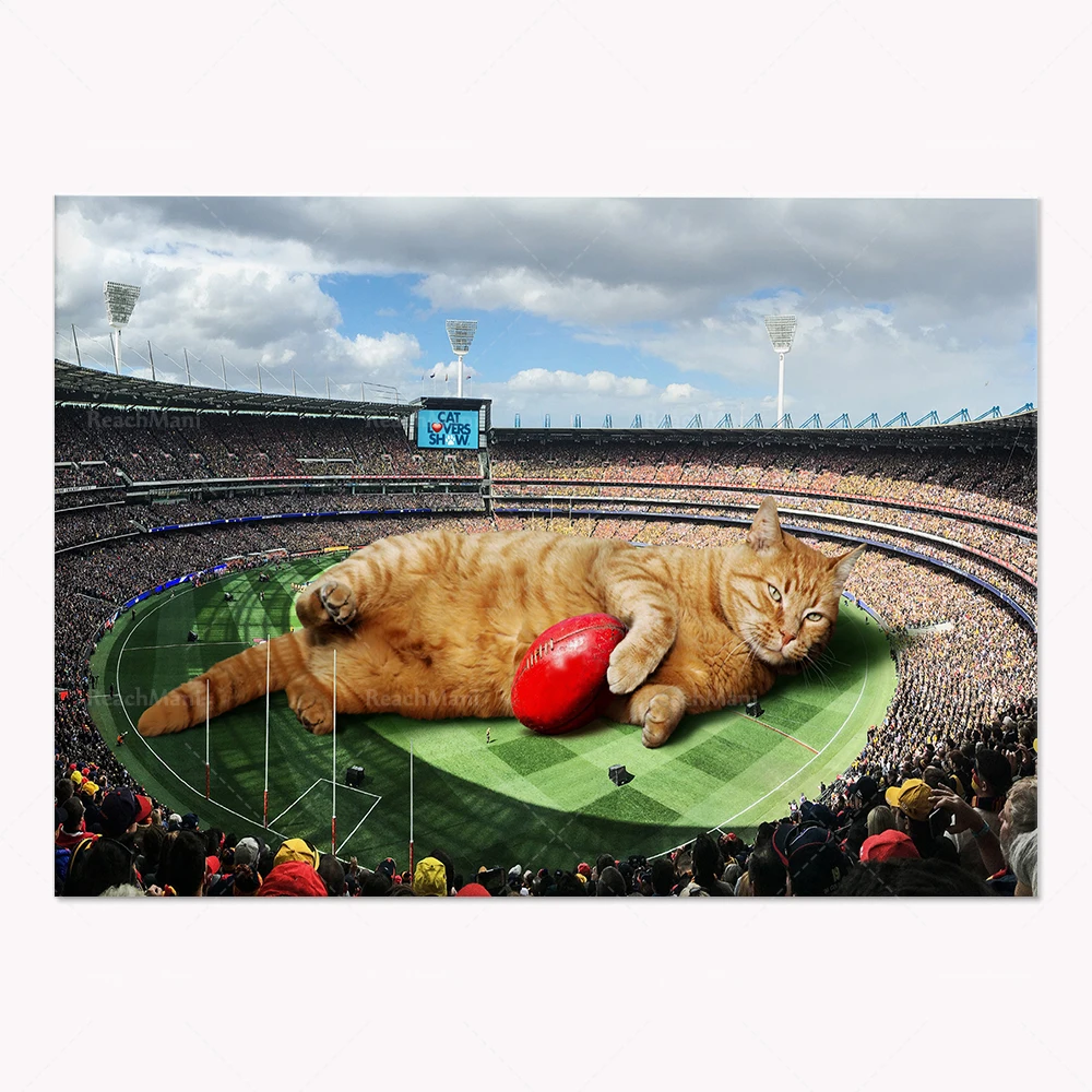 Имбирная кошка апельсиновая таблетка Гонконг Вашингтон байерман Германия