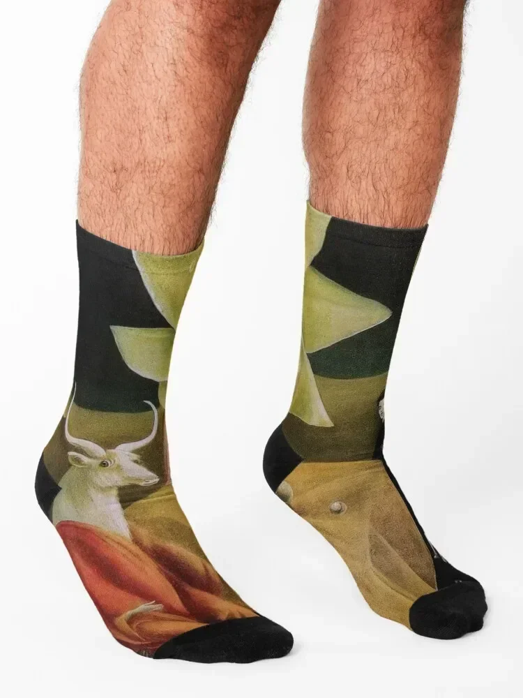 Leonora Carrington Socks Обувь Crossfit Носки Мужские Женские