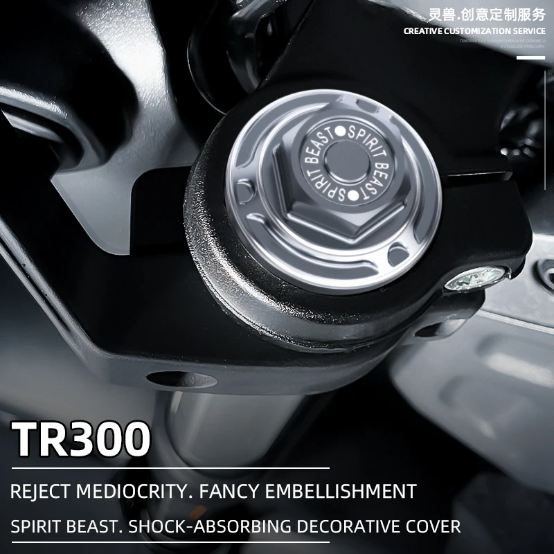 

Motorcycle Front Shock Absorber Screw Cover for HAOJUE TR300