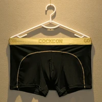 phnom penh mesh underwear mens large flat angle sexy underwear thin quadrangle pants mens underwear
