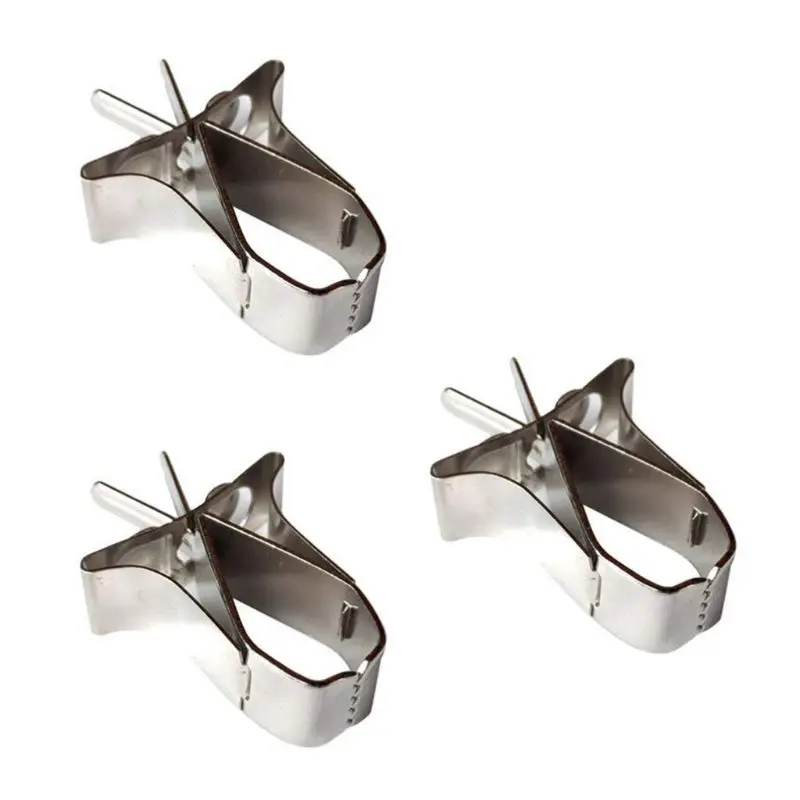 

3 Pcs Birds Food Holder Pet Parrot Feeding Fruit Vegtable Clip Feeder Device Pin