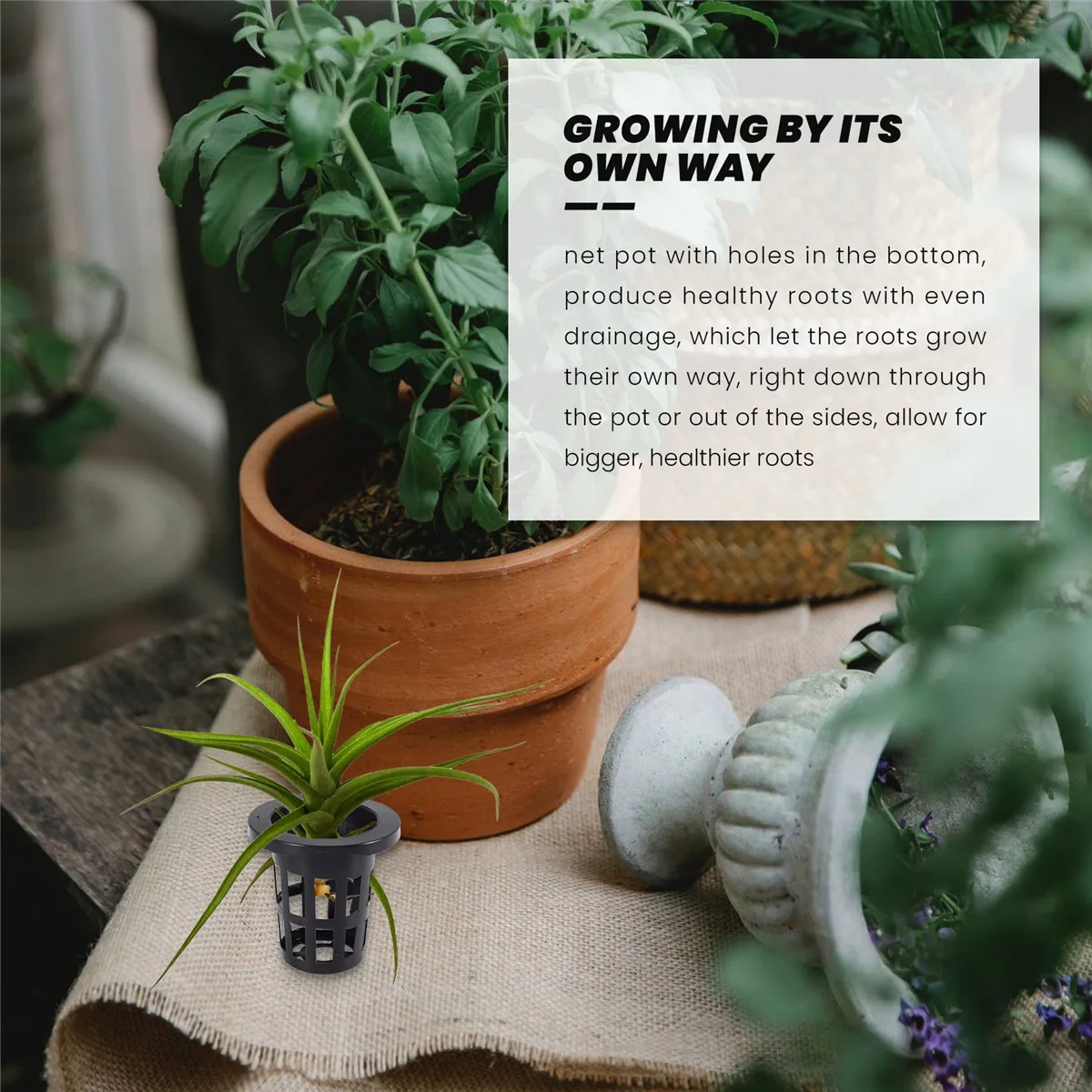 100 шт./упаковка сетчатые чашки 1 77 дюйма