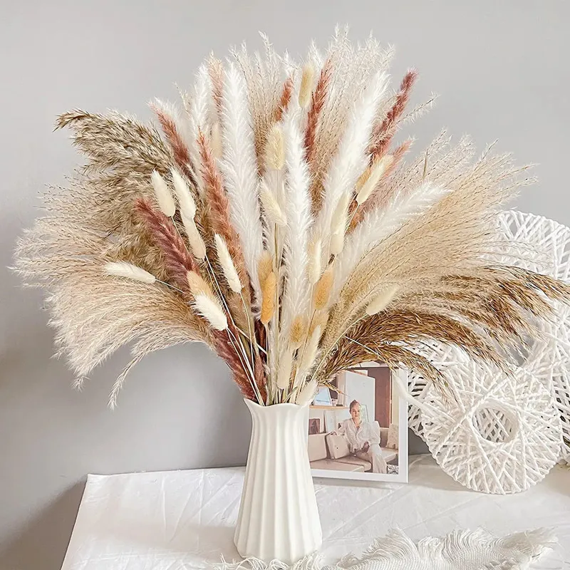 

74pcs Bulrush Natural Dried Small Pampas Grass Phragmites Artificial Plant Wedding Decoration Flower Bunch for Home Decor
