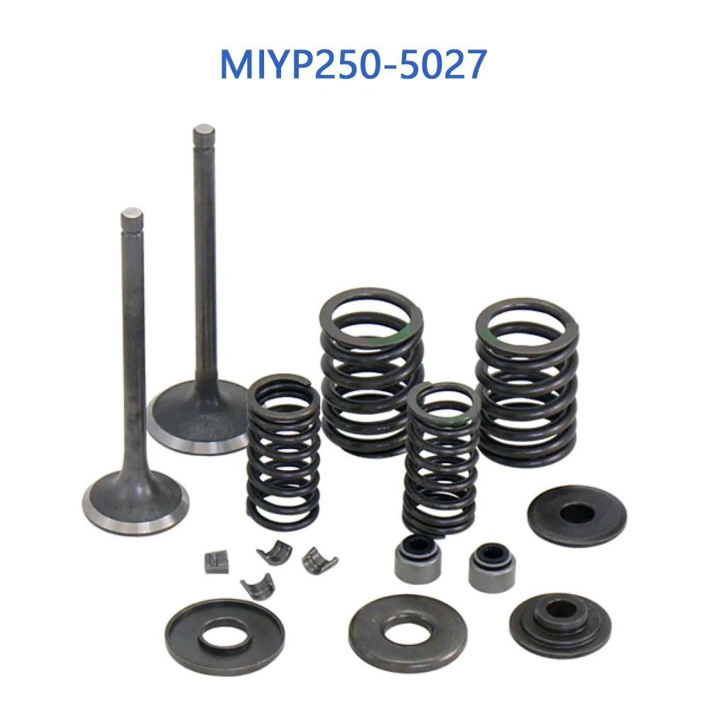 

Наборы впускных/выпускных клапанов YP250-5027 для Linhai 250 260 30, скутер Yamaha Keeway Jinlang Feishen ATV 22714