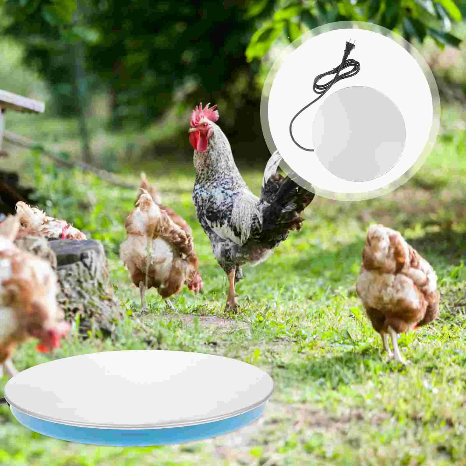 

Water Heater Heating Poultry Pigeon Base Pet Drinker Tool Winter Accessory Chicken Constant Temperature Bird Hot