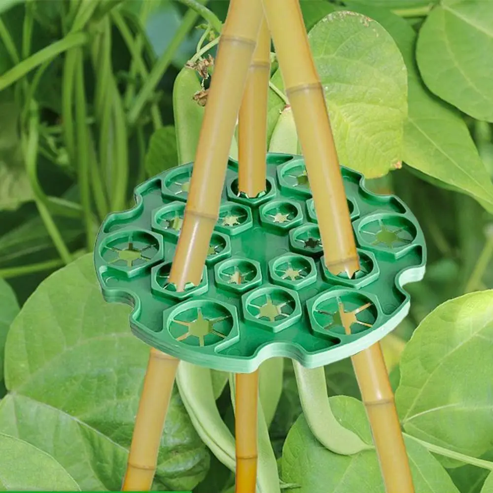 Многоразовый держатель для садовых растений 2/3/5 шт.