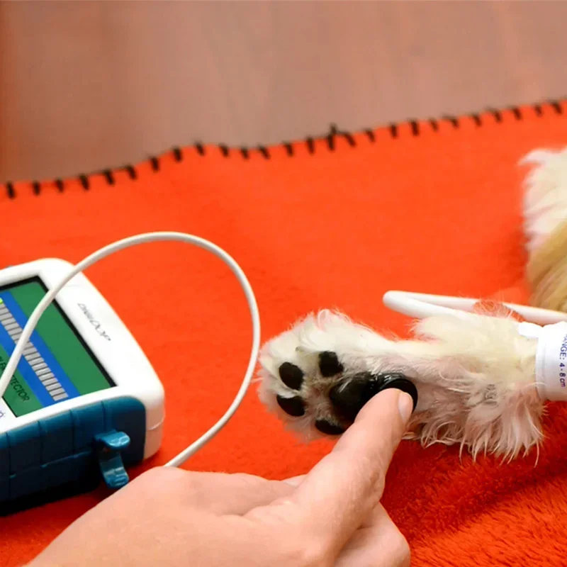 Ветеринарная ультразвуковая периферия для домашних животных обнаружение