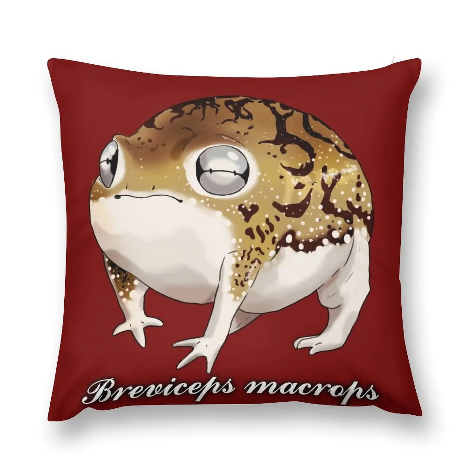 Лягушка-дождевик в пустыне (боры макропов) - с текстом Декоративная подушка