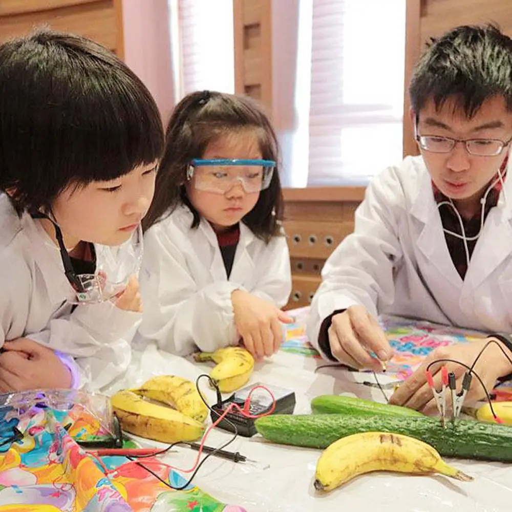 Сделай Сам Картофель Фрукты Питание Батарея Био энергия свет диодные часы