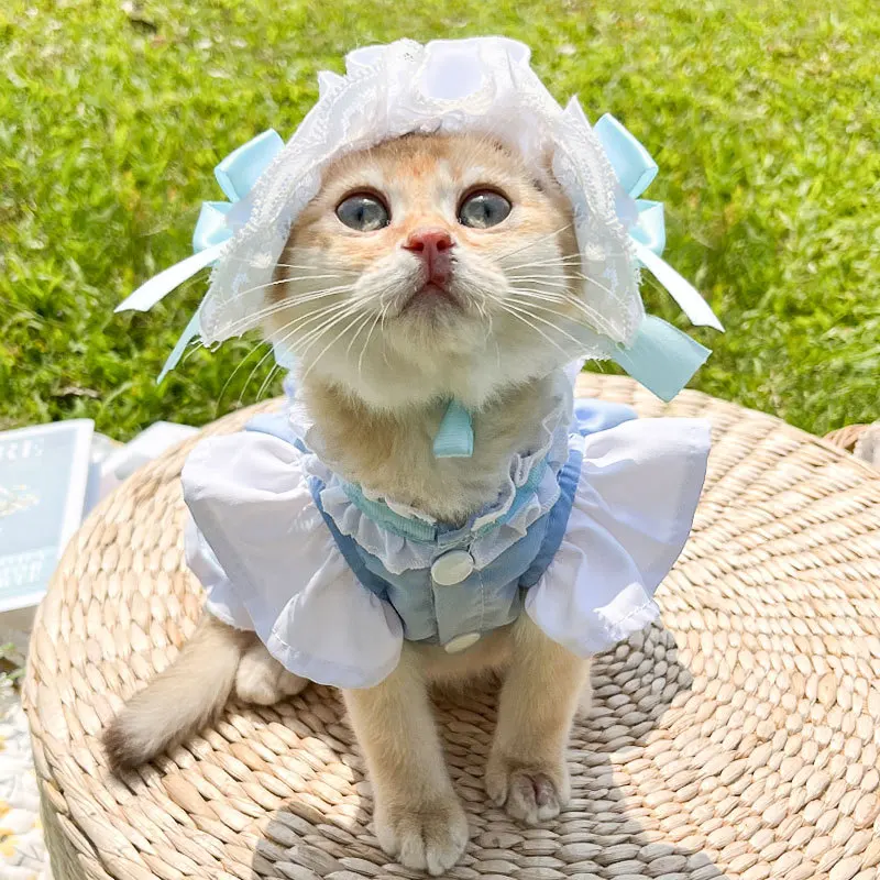 

Maid Outfit Cute Dress Small Dog Lace Skirt Cat Clothes Spring Summer Chihuahua Yorkshire Princess Skirt Poodle Coat Poodle