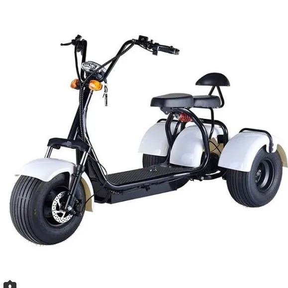 Fast Speed Racing Motorcycle Electric Motor Tricycle Scooter Motorcycle 3 Wheels Tilting Electric Trike E Motorcycle images - 6