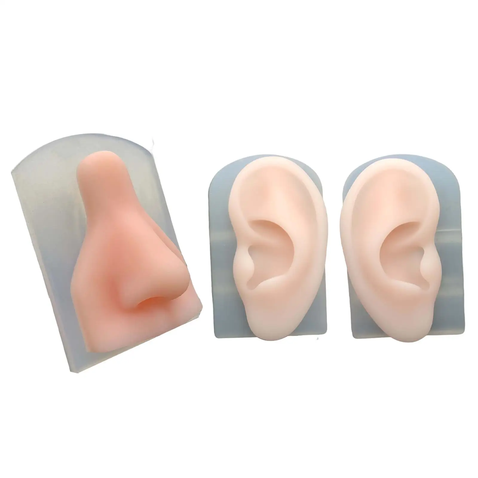 

Body Part Displays Model, Teaching Instructions Flexible Mold for Jewelry Display
