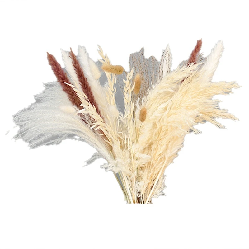

30 шт. сушеных тростников, маленькие пампасные цветы, искусственные банкетные украшения, настоящие Искусственные Свадебные украшения