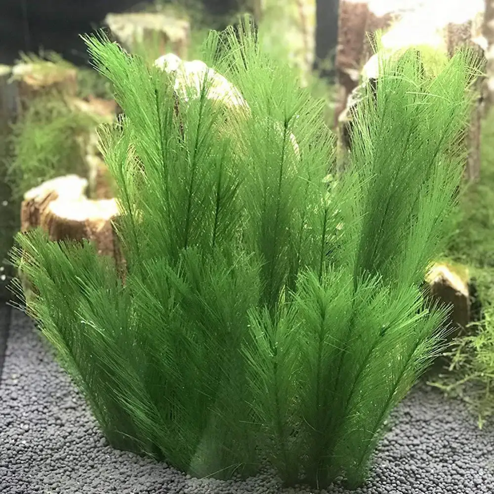 

1/3Pcs 28/40cm Aquarium Fish Tank Artificial Water Grass Aquatic Plant Landscaping Decor Underwater Plants Water Weeds Ornament