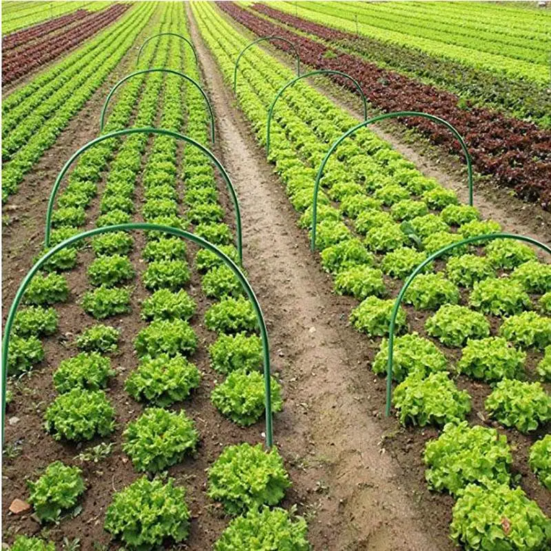 Продажа Кольца для теплиц, кольца для выращивания растений, кольца для поддержки сада, кольца для поддержки растений, держатель для сельскохозяйств...