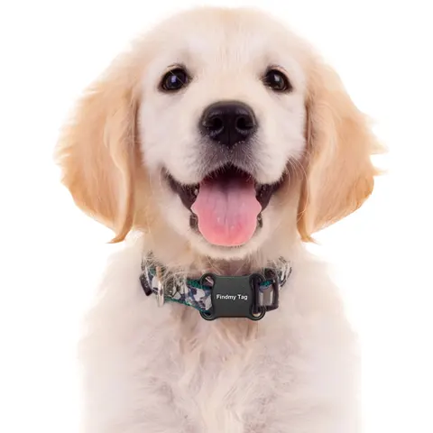 GPS-трекер для домашних животных, Bluetooth-совместимое устройство GPS-слежения, трекер для домашних животных для собак, кошек, детей, брелок для домашних животных, кошелек, багаж