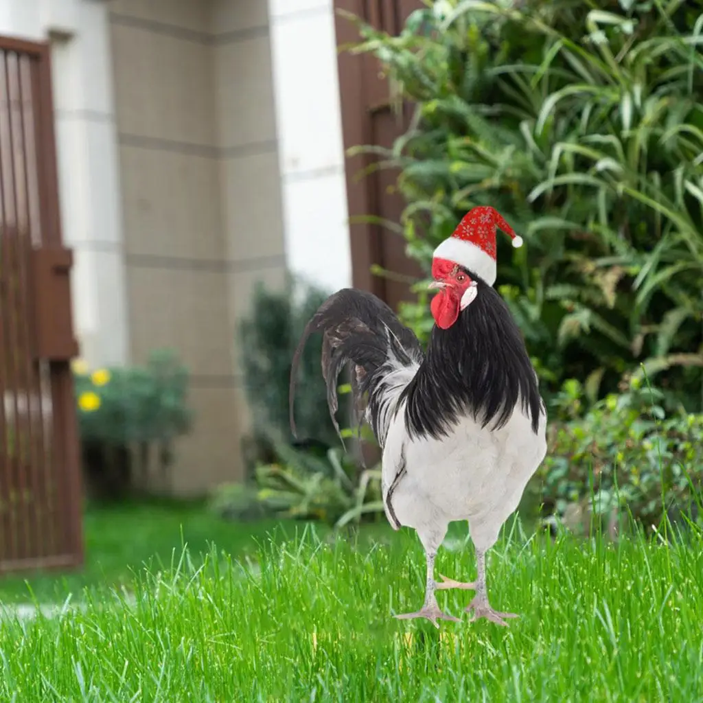 

Rooster Hen Animals Stakes, Chicken Garden Stake Decorative Vivid 11.81'' Garden