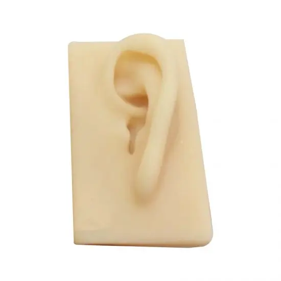 

Necessary Division Silicone Aid Fitting Left Ear Model