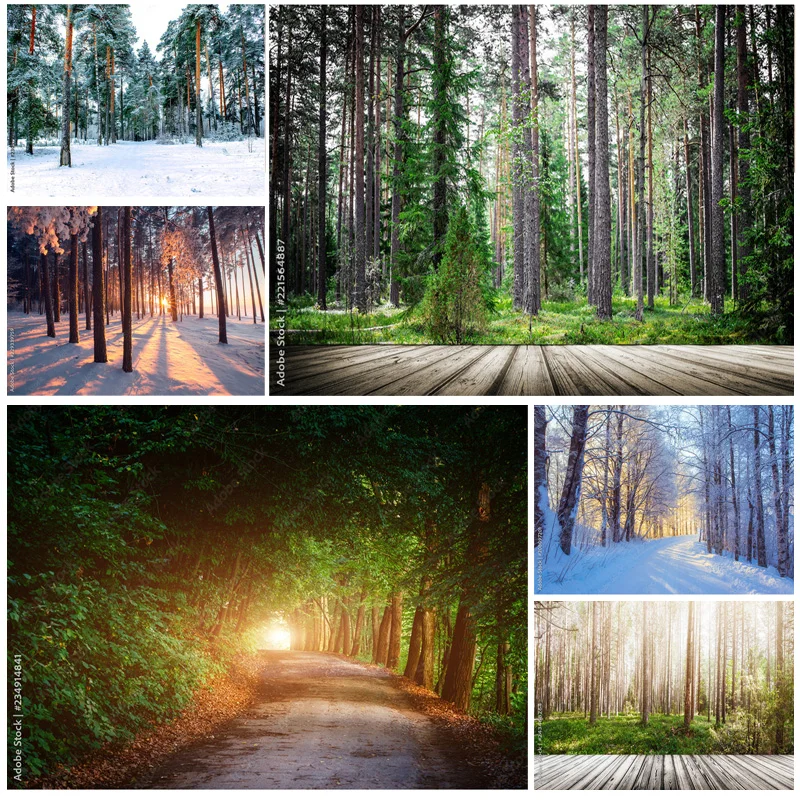 

Natural Scenery Photography Background Forest Landscape Travel Photo Backdrops Studio Props 22331 SELI-05