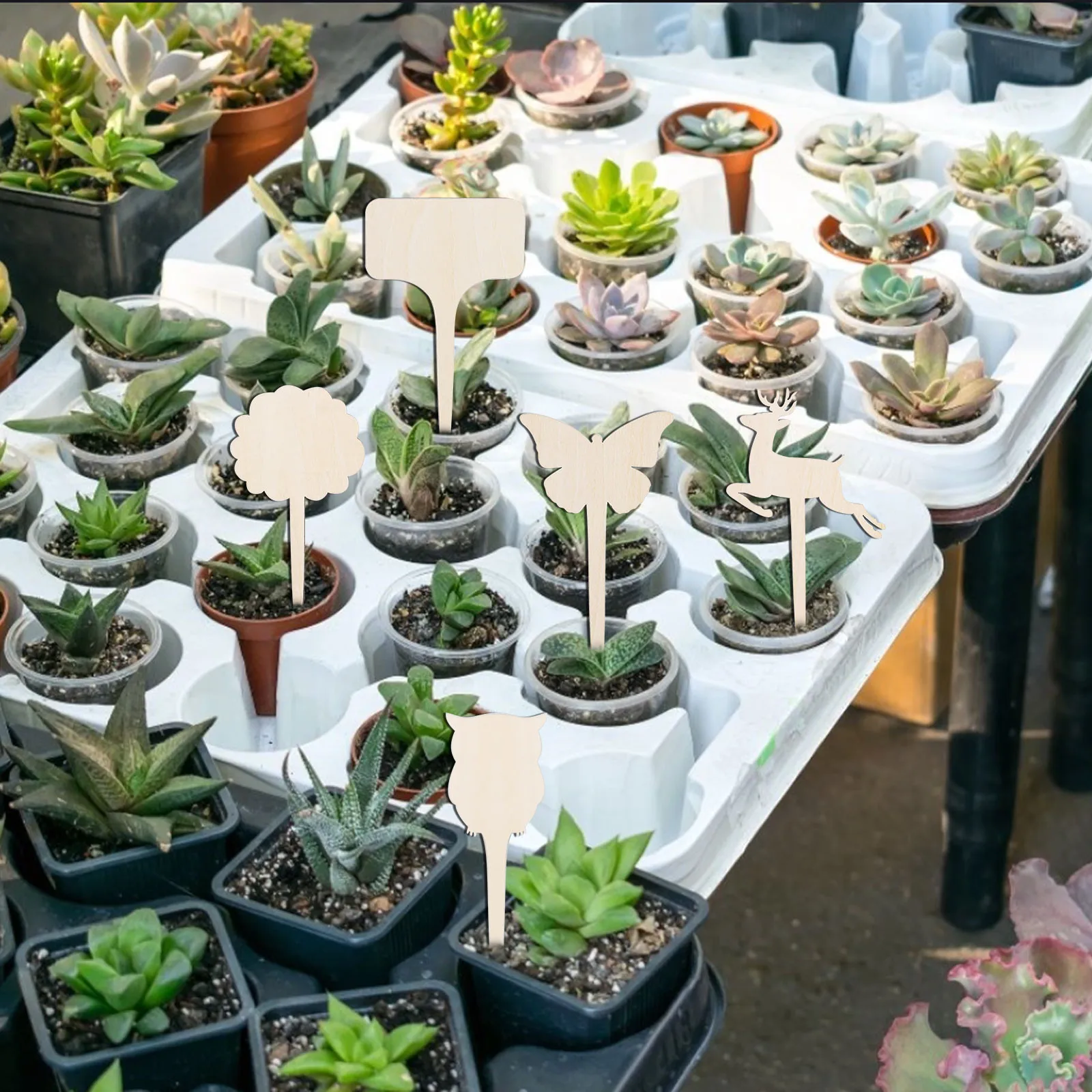 

Wooden Sign Creative Gardening Plant Label Can Write Insert Ground 10pcs