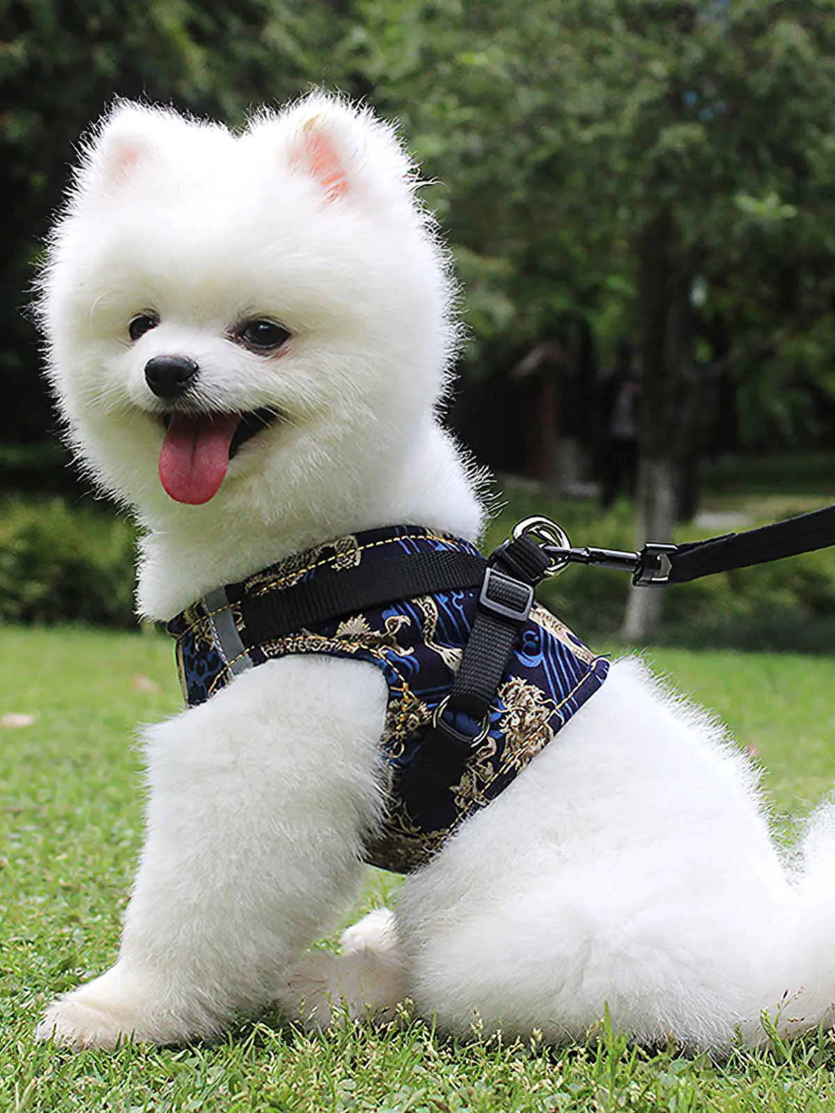 

Dog Harness Vest Leash Set Adjustable Breathable Dog Harness Chinese Style Vest Harness Collar Cat Pet Dog Chest Strap