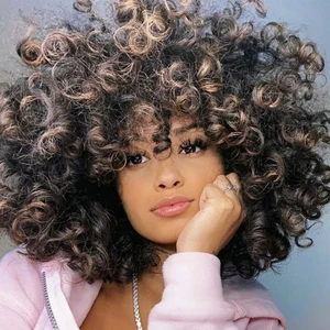 HANNE Short Curly Afro Wigs Black Brown Highlights Kinky Curly Wavy Synthetic Wigs with Bangs Natural Looking For Black Women