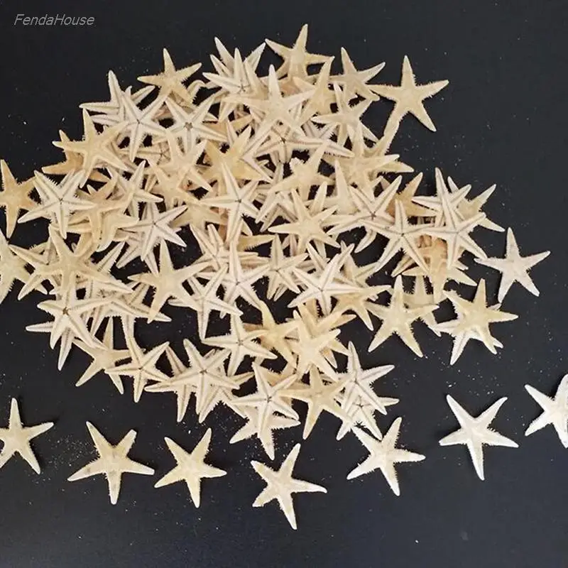 

100pcs Sea Shells Size:0.5-3cm Mini Starfish Craft Decoration Natural Sea Stars DIY Beach Cottage Wedding Decor Crafts Wedding