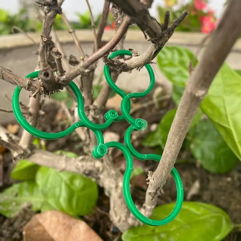 50 шт. зажимы для обвязки садовой лозы кольцевой держатель с пряжкой подставка