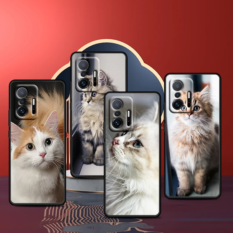 

Cute Cat Kitten Kawaii For Xiaomi Mi 11T 11i 10T 10i 9T 8 A3 K30S K30T Pro Lite Ultra 5G Silicone Black Phone Case Cover