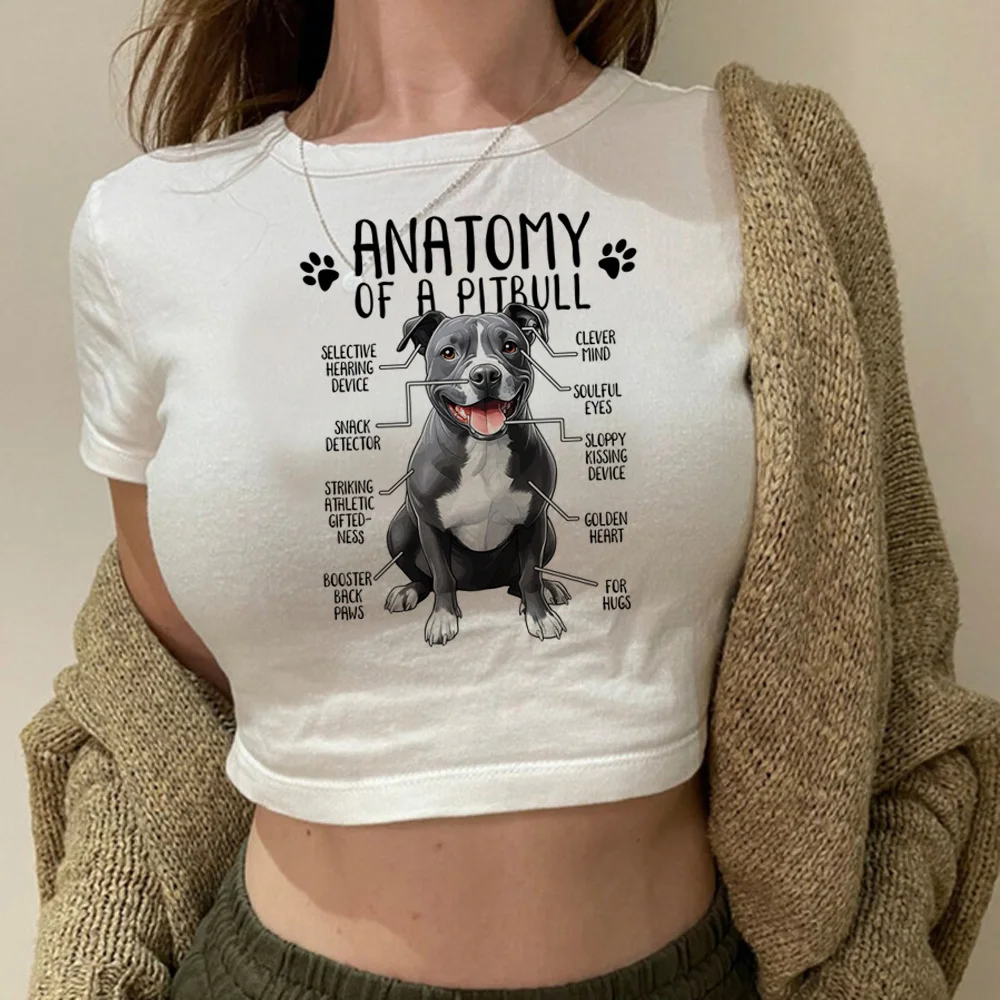 Бультерьер